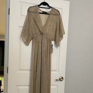 Gold Sheer Maxi Dress